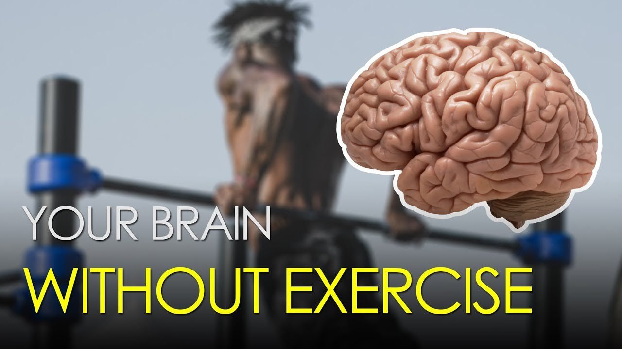 Brain Health and Exercise in Real-World Fitness.